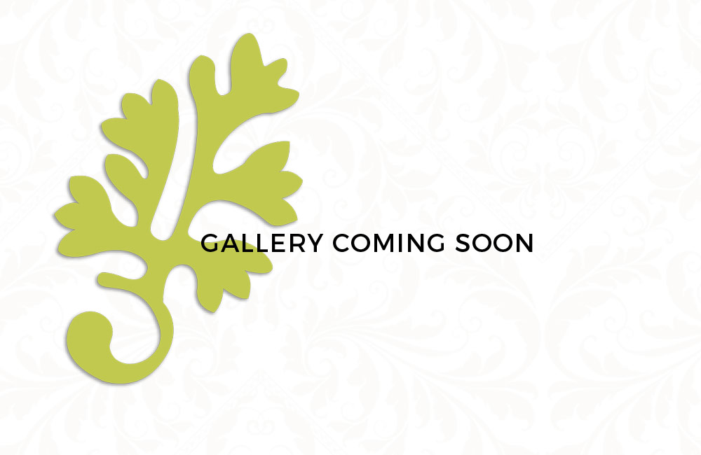 gallery coming soon