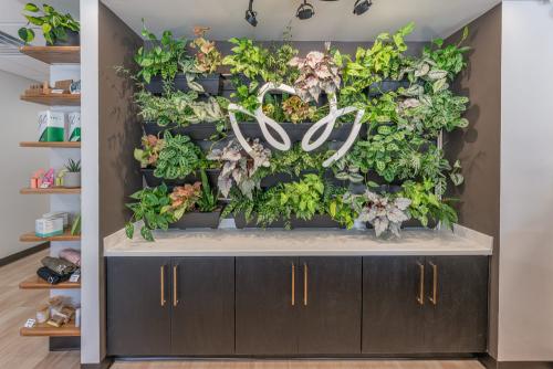 julia fitch thorn dental cabinet design gray cabinets with foliage accent wall