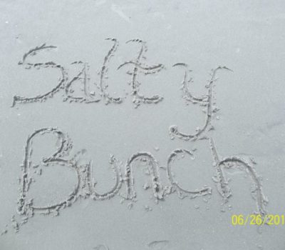Saltys-bunch-2012-400x350