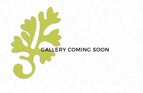 gallery-coming-soon